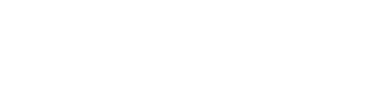 Te Kāwanatanga o Aotearoa New Zealand Government